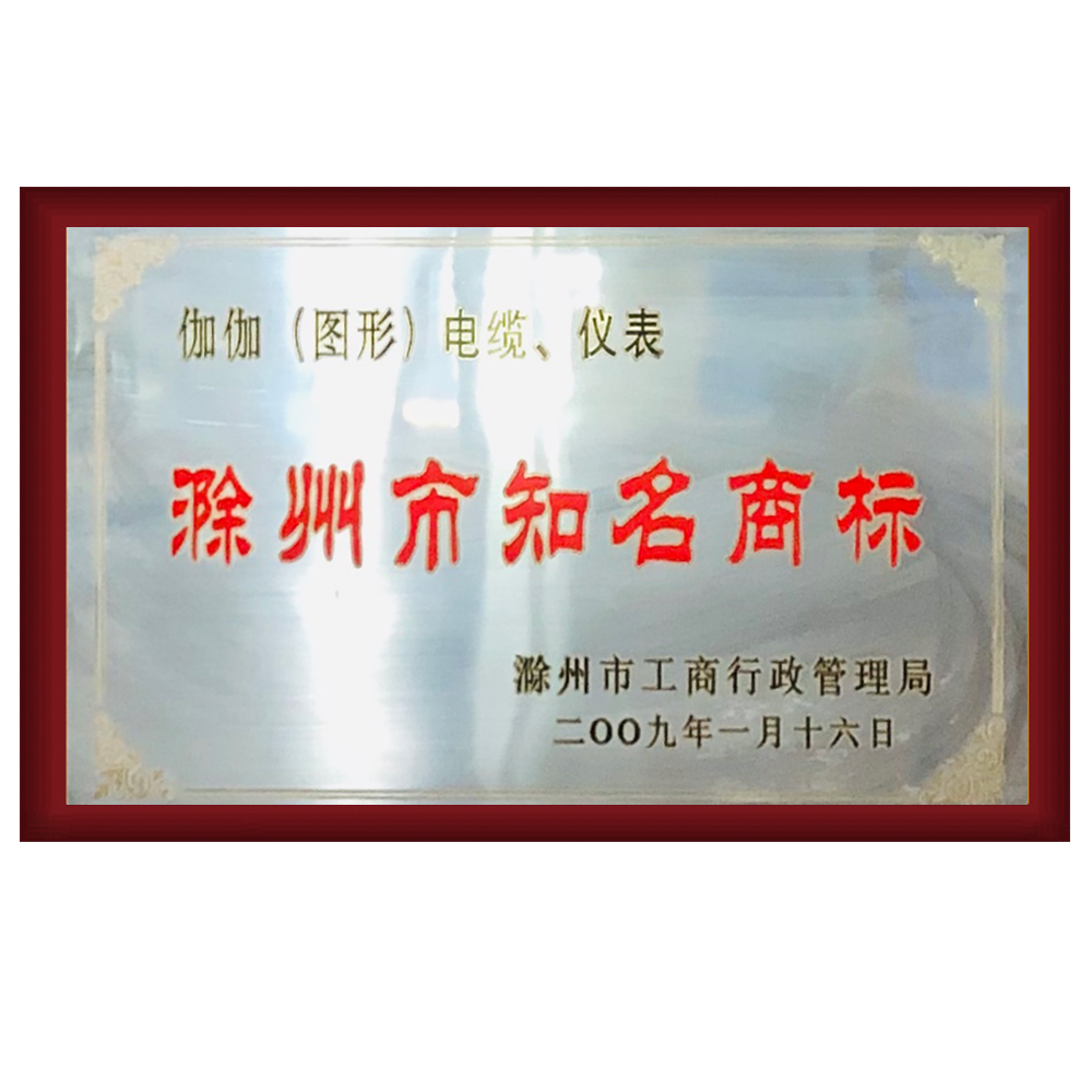 2009年滁州市知名商标